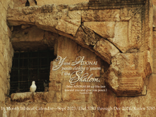 Load image into Gallery viewer, Shalom Calendar - 16 Month Biblical Calendar- Sept. 2023 through Dec. 2024